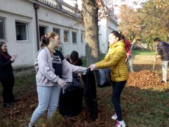 IMG_20191019_095819.jpg